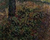 文森特威廉梵高 - 灌木丛